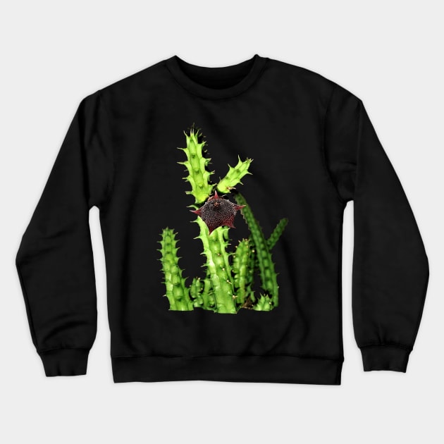 Orbea Suculenta Crewneck Sweatshirt by NerdsbyLeo